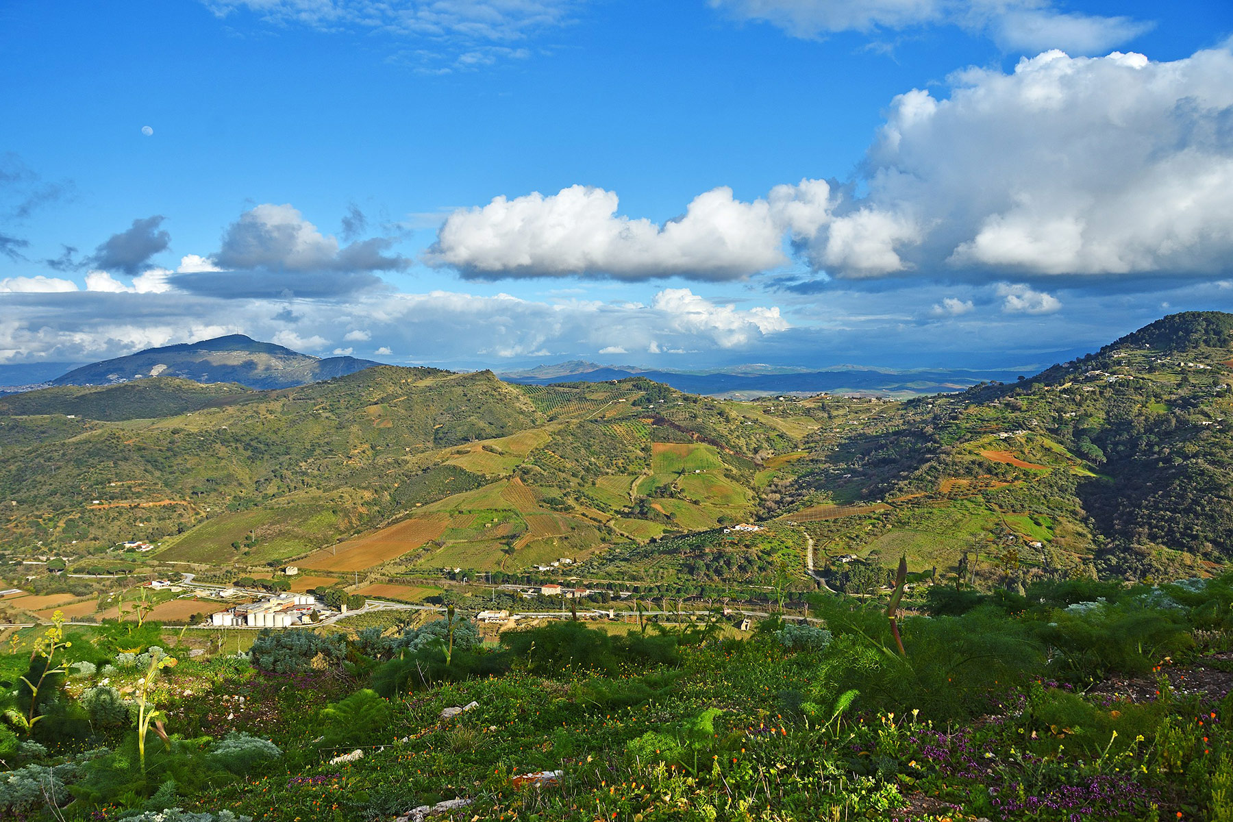 Calatafimi Segesta